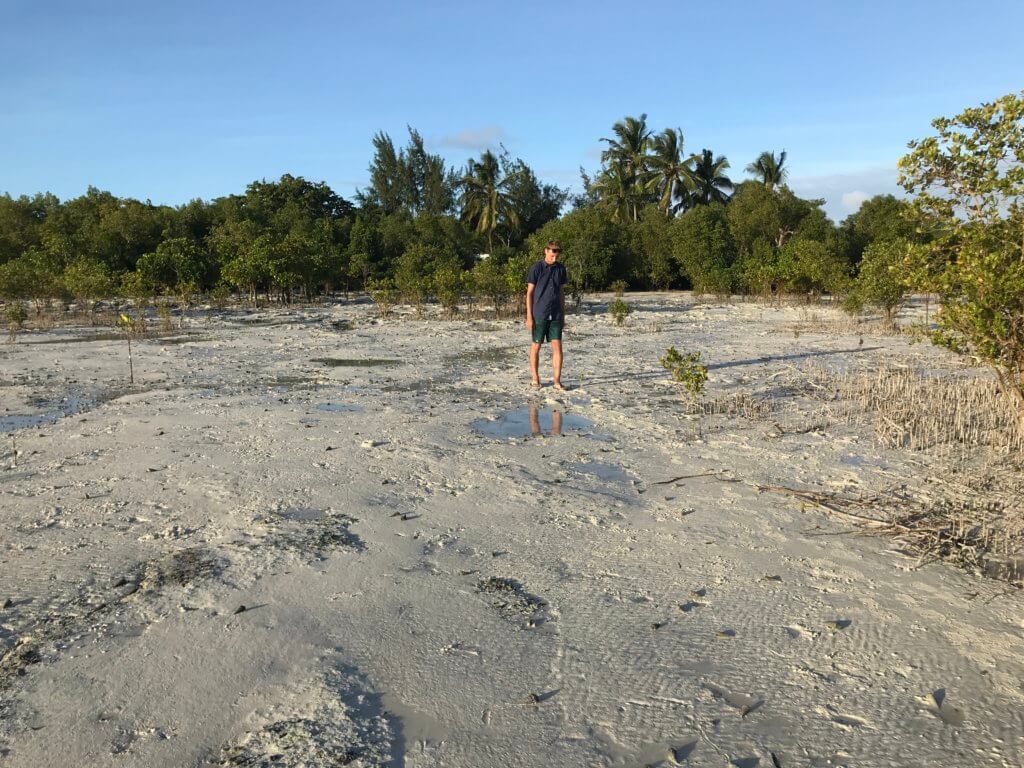 zanzibar cestovanie cestovani dovolenka dovolena kam ist co vidiet zaujimavosti ceny mangrovniky